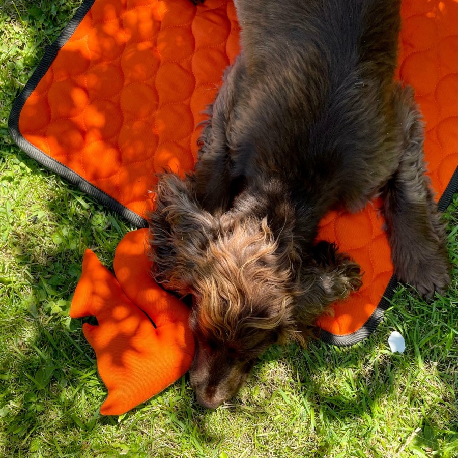 The Jet Setter LISH | Winkley Orange Designer Pet Travel Blanket