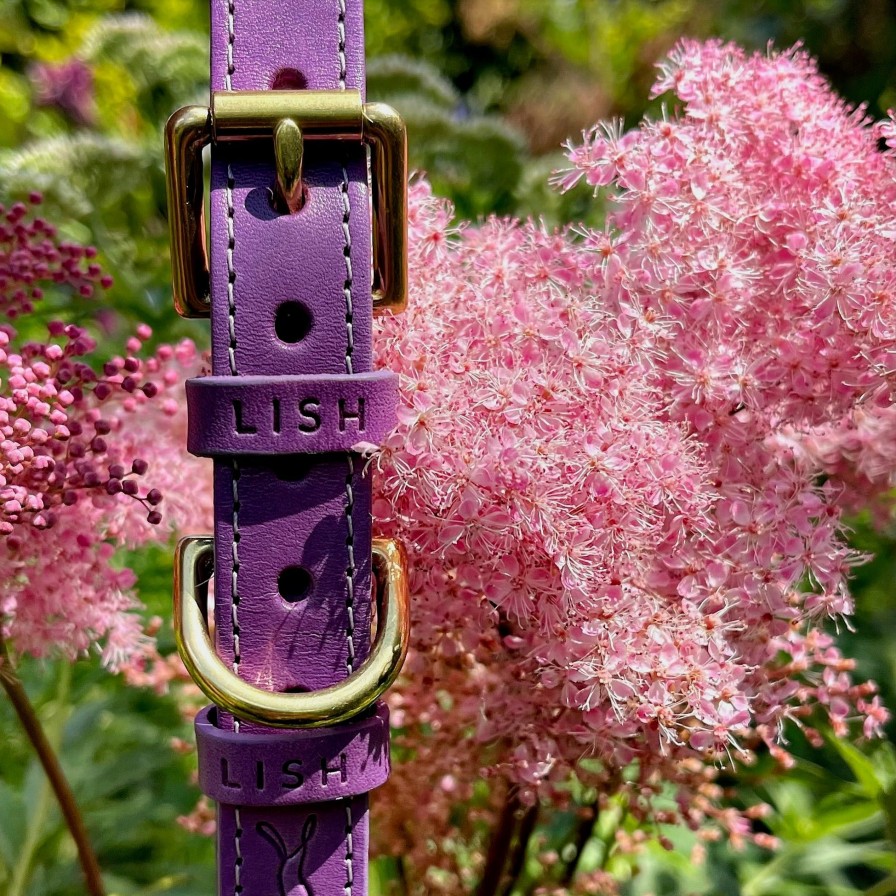 Collars LISH | Coopers Violet Luxury Leather Designer Dog Collar