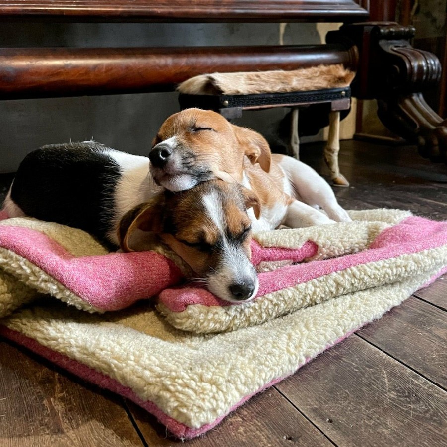 Blankets LISH | Bespoke Harris Tweed Luxury Designer Dog Blankets