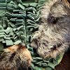 Toys & Totes LISH | Designer Green Snuffle Mat Activity Dog Toy