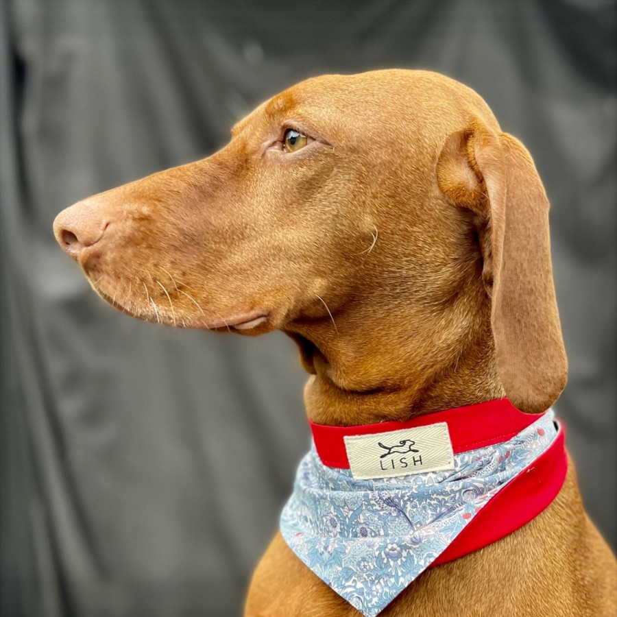 Occasion Wear LISH | Coronation Liberty Print Blue Designer Dog Neckerchief